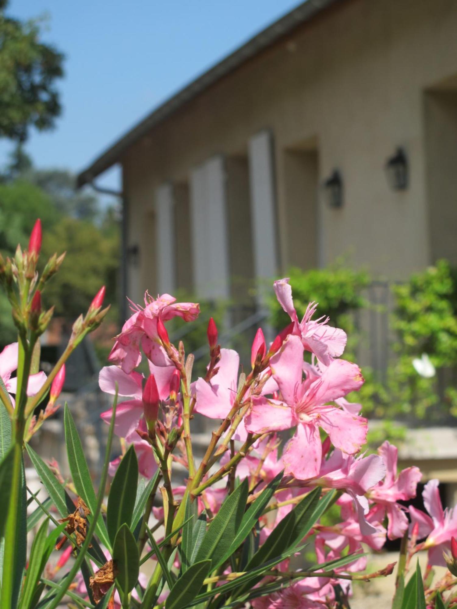 Les Communs Du Manoir Daire Écully Oda fotoğraf