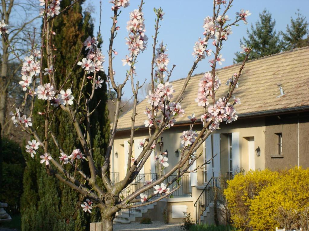 Les Communs Du Manoir Daire Écully Dış mekan fotoğraf