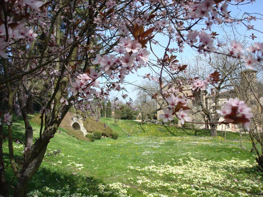 Les Communs Du Manoir Daire Écully Dış mekan fotoğraf