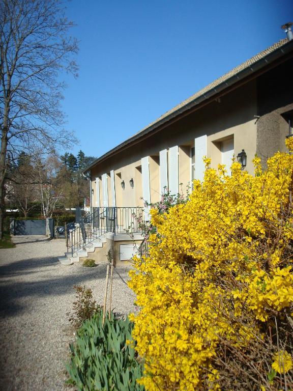 Les Communs Du Manoir Daire Écully Dış mekan fotoğraf
