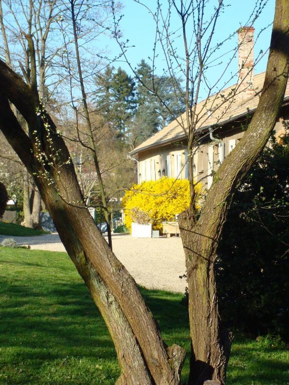 Les Communs Du Manoir Daire Écully Dış mekan fotoğraf